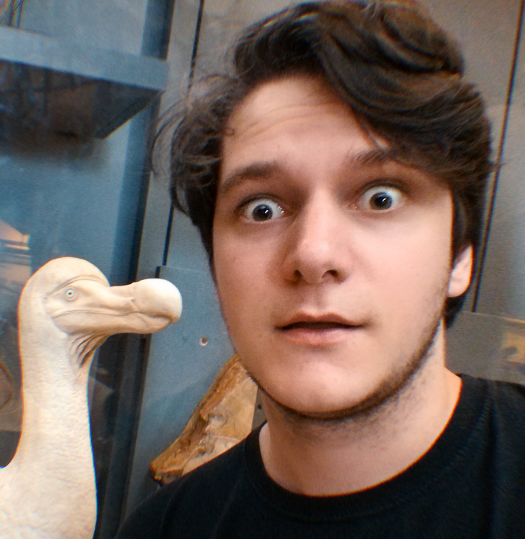 Portrait image of Arthur Chamerois